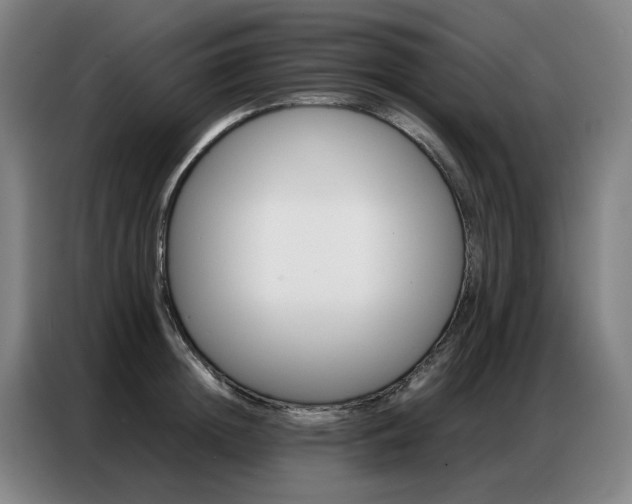 X0000087360852200704200824