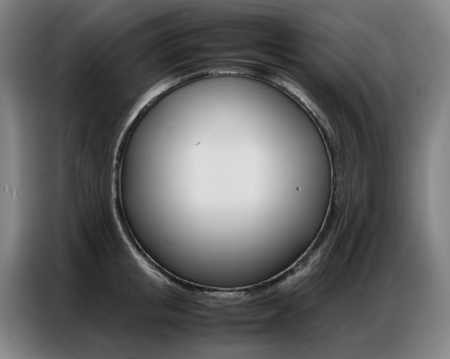 X0000087360853200704200824