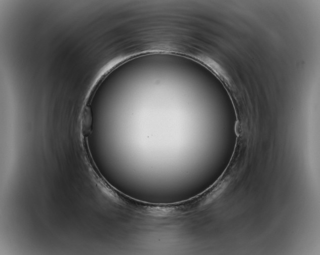 X0000087360854200704200824