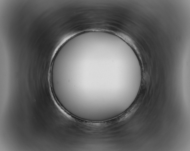 X0000087360855200704200824