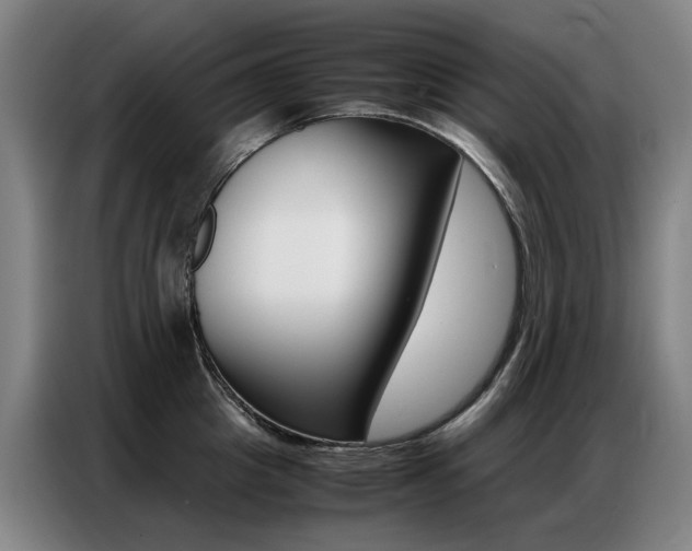 X0000087360857200704200824