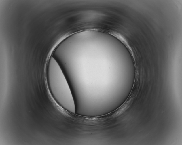 X0000087360859200704200824