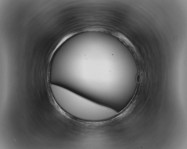 X0000087360860200704200824