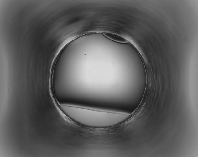 X0000087360861200704200824