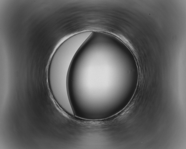 X0000087360862200704200824