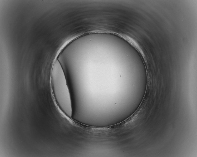 X0000087360863200704200824
