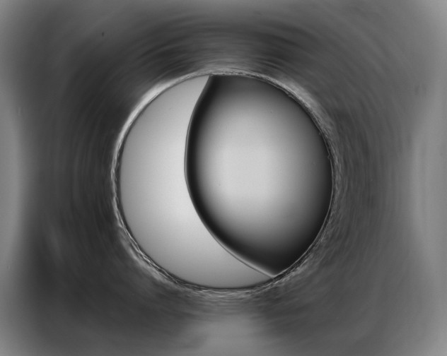 X0000087360864200704200824