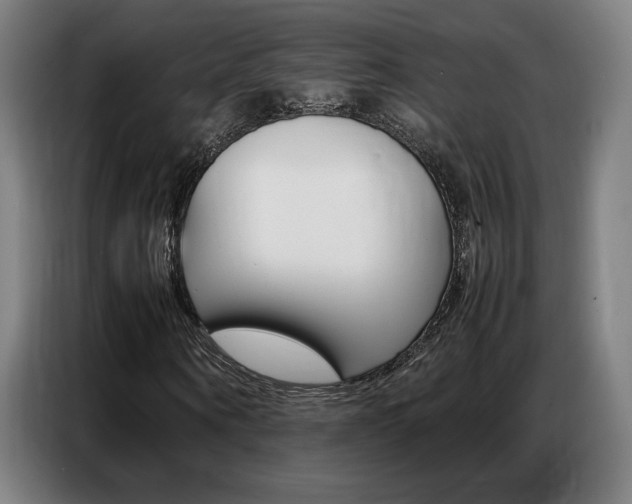 X0000087360866200704200824