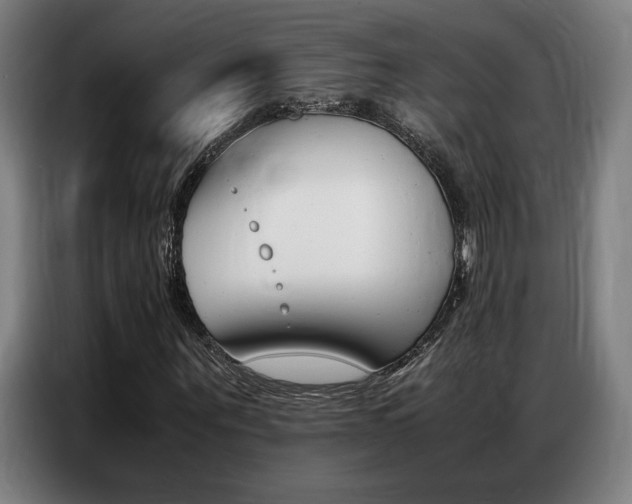 X0000087360867200704200824