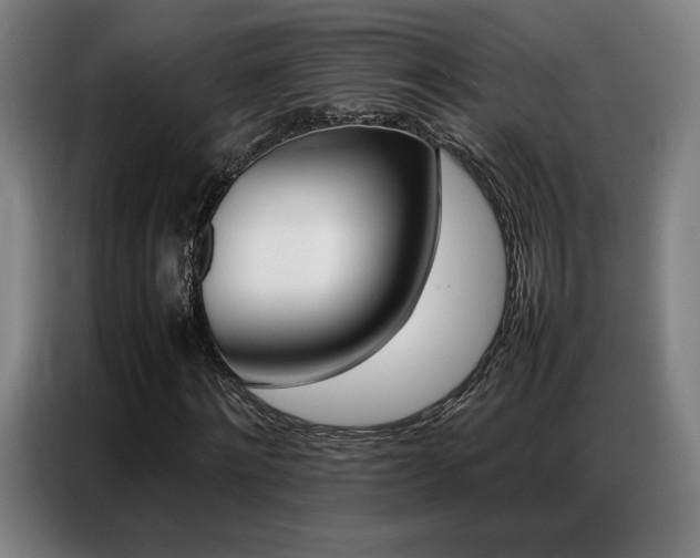 X0000087360868200704200823
