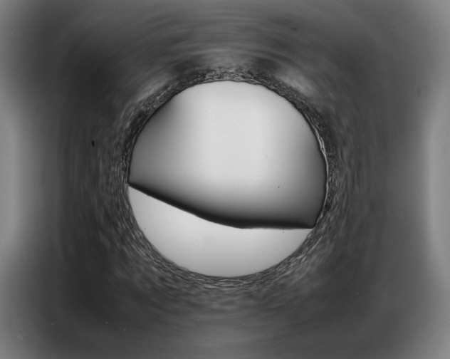 X0000087360869200704200823