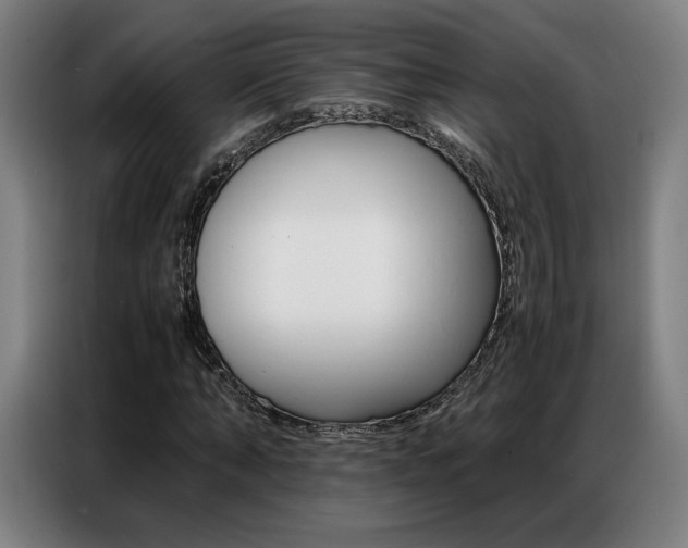 X0000087360870200704200823