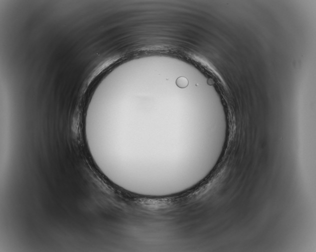 X0000087360874200704200823
