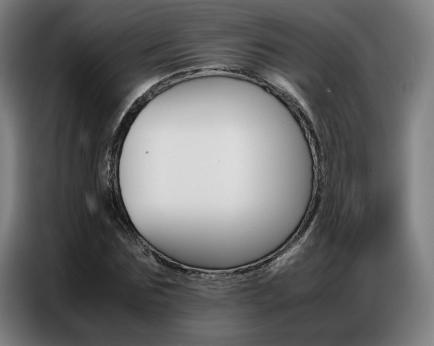X0000087360875200704200823