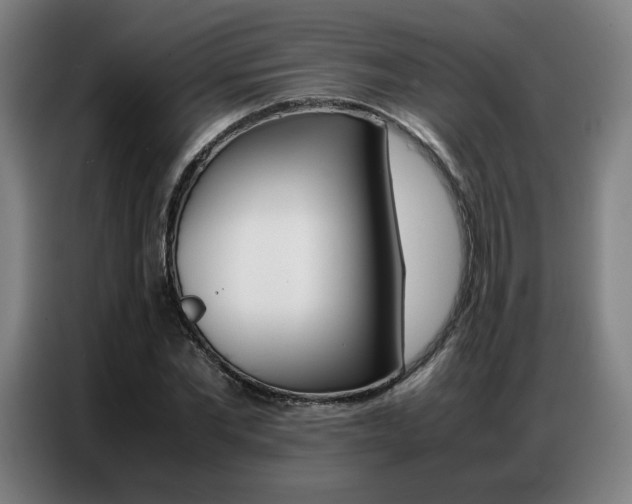 X0000087360877200704200823