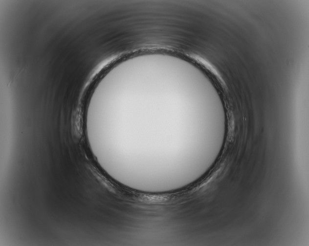 X0000087360878200704200823
