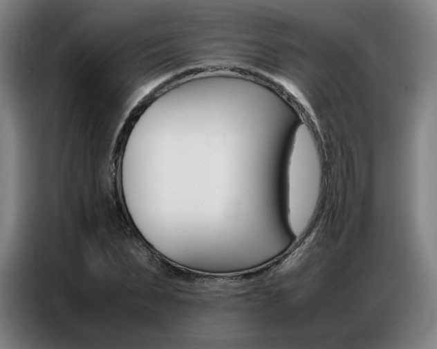 X0000087360879200704200823