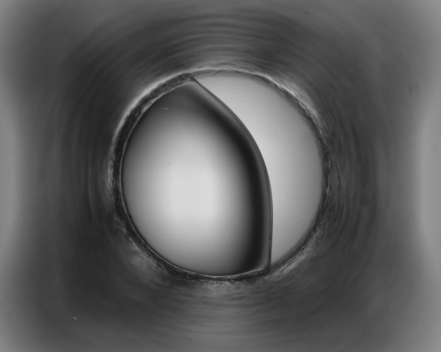 X0000087360880200704200823