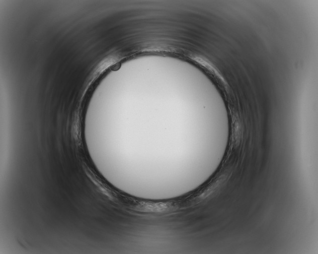 X0000087360882200704200823