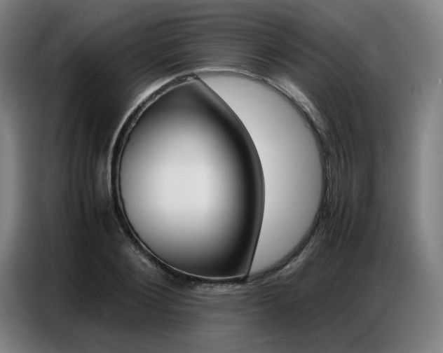 X0000087360884200704200823