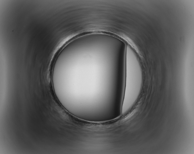 X0000087360885200704200823