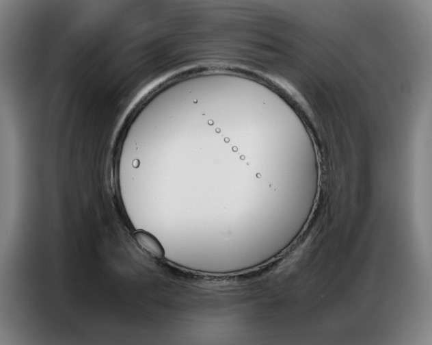 X0000087360887200704200823