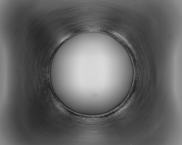 X0000087360889200704200823