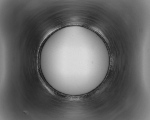 X0000087360890200704200823