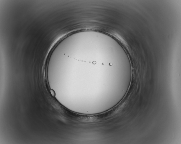 X0000087360891200704200823
