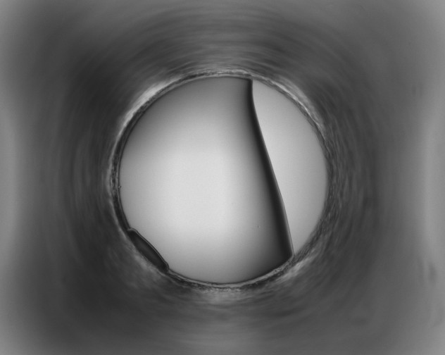 X0000087360893200704200823