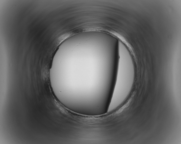 X0000087360897200704200823