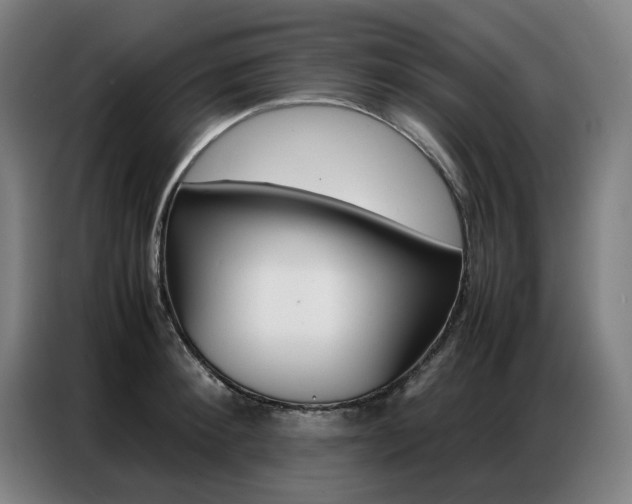 X0000087360900200704200823