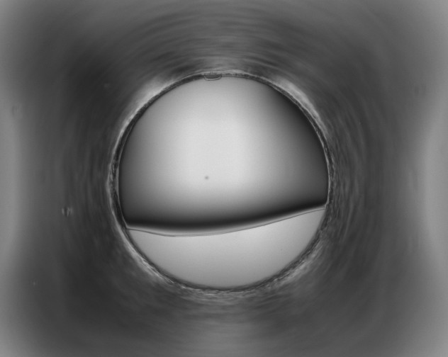 X0000087360901200704200823