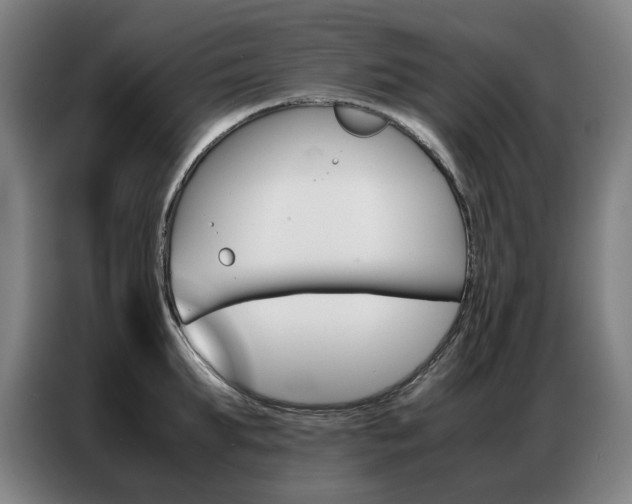 X0000087360903200704200823