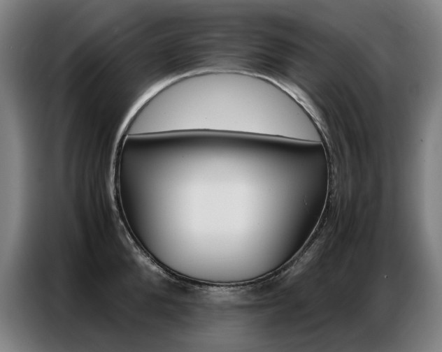 X0000087360904200704200823