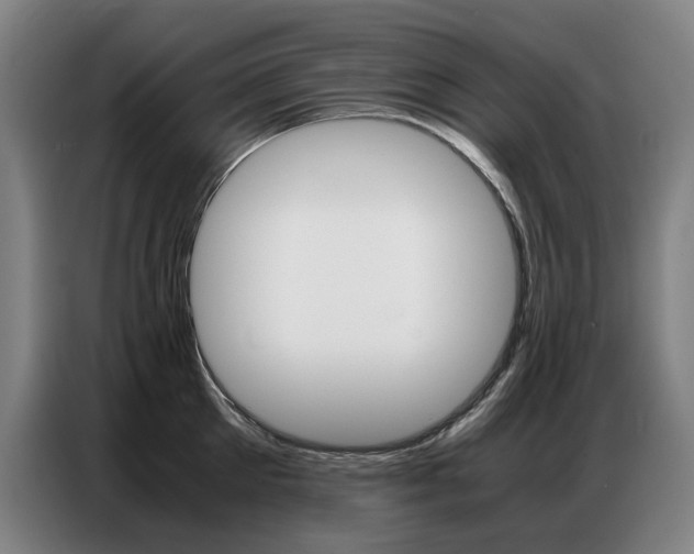 X0000087360905200704200823