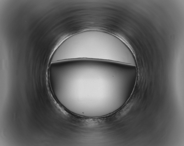 X0000087360906200704200823