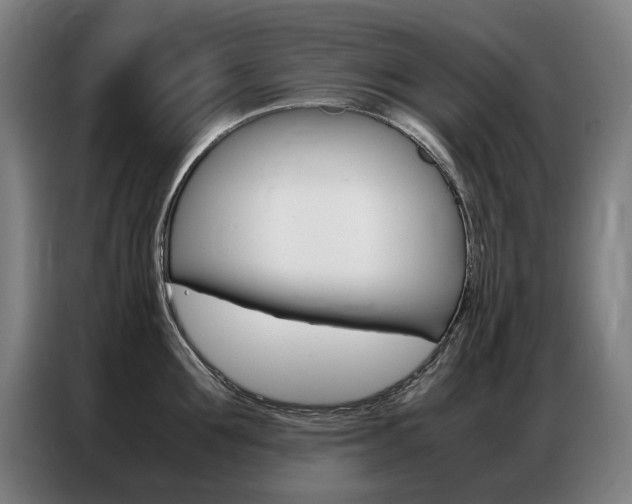 X0000087360907200704200823