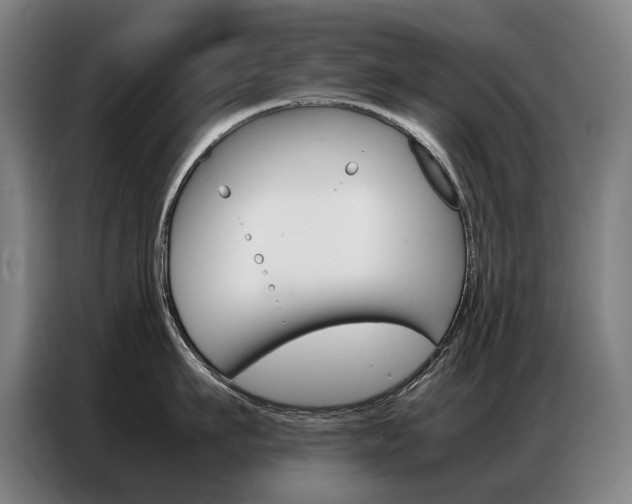 X0000087360911200704200823