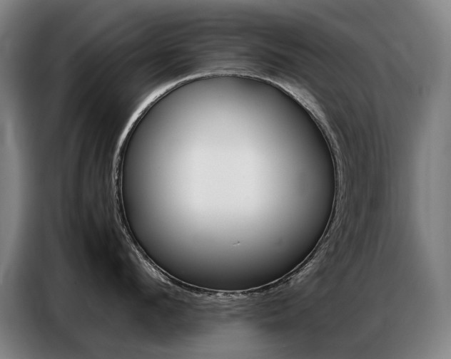 X0000087360912200704200823
