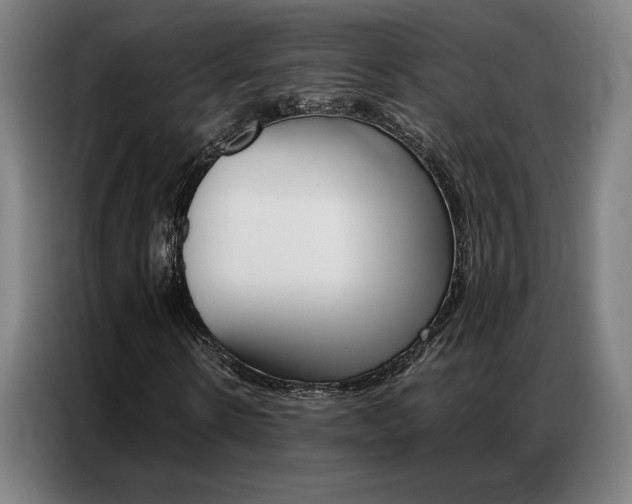 X0000087360914200704200822