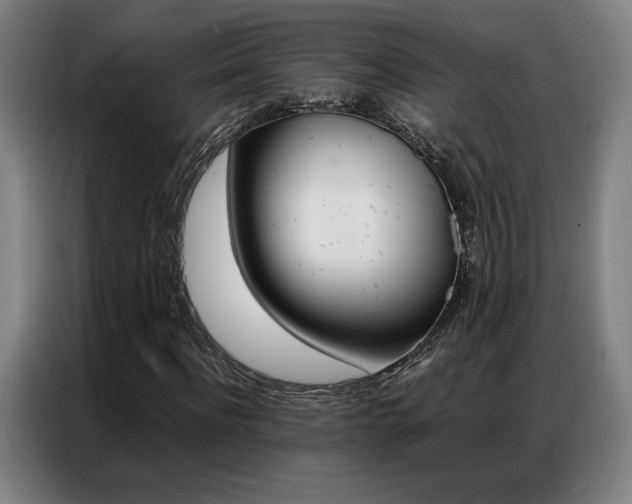 X0000087360916200704200822