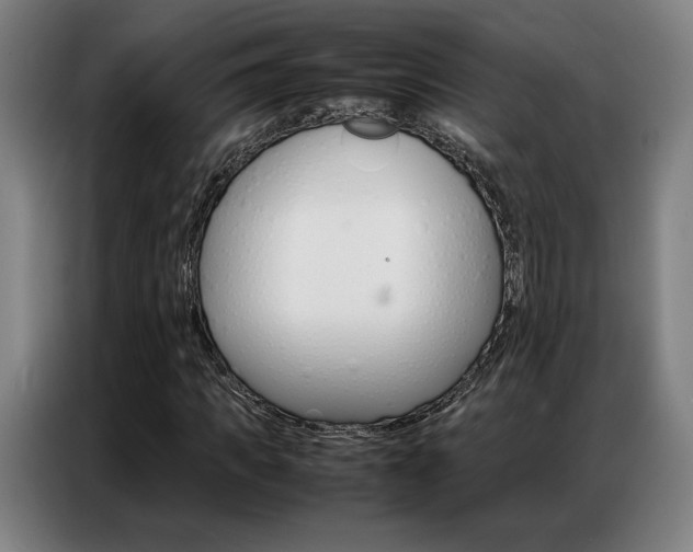 X0000087360917200704200822
