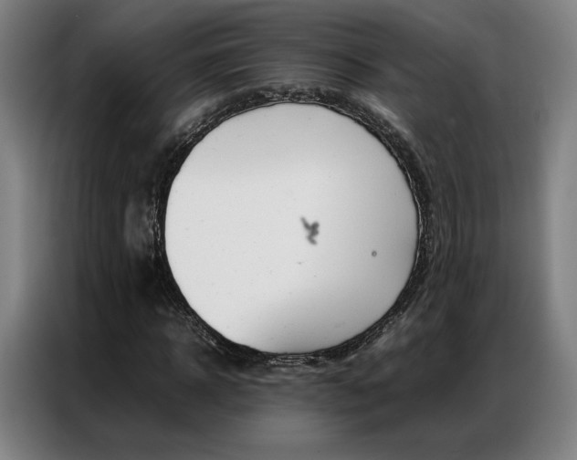 X0000087360918200704200822