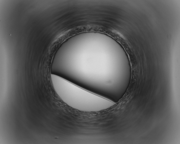 X0000087360919200704200822