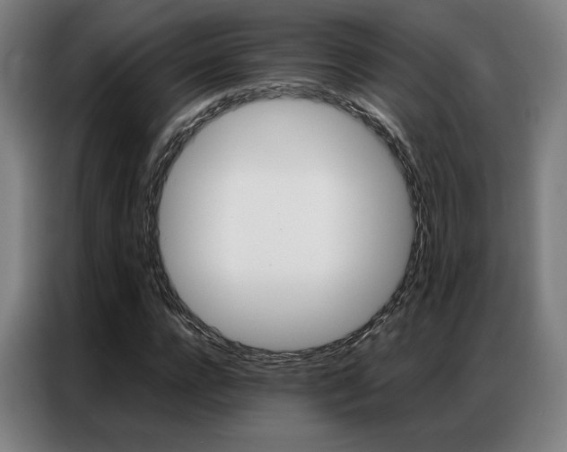 X0000087360920200704200822
