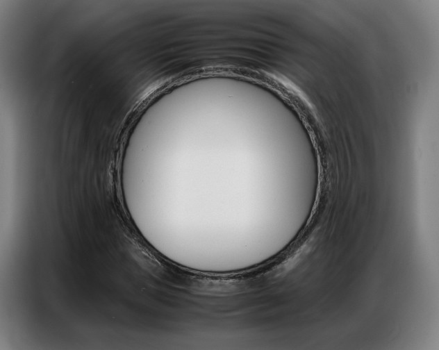 X0000087360921200704200822