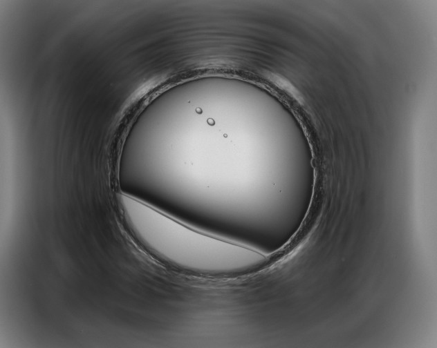 X0000087360922200704200822