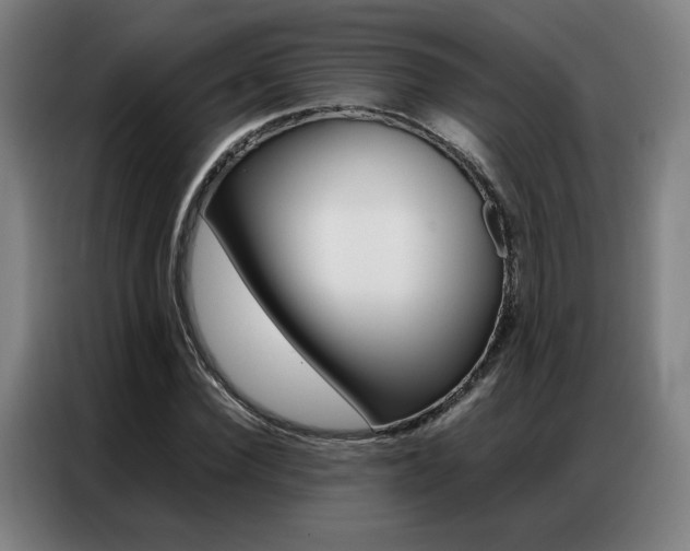 X0000087360924200704200822
