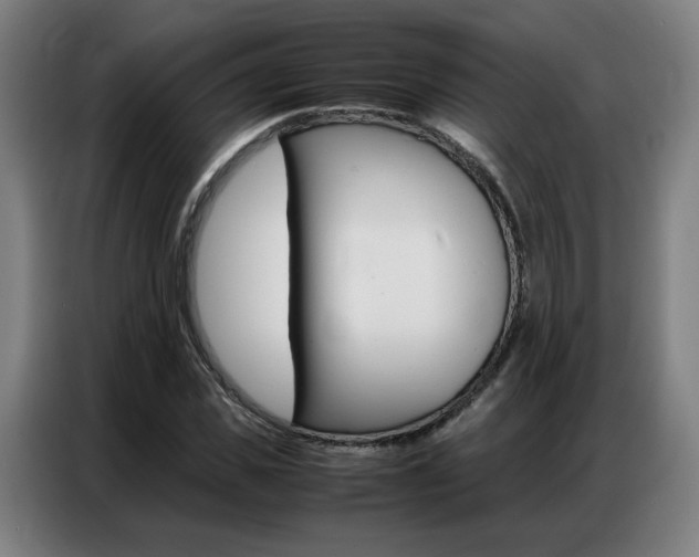 X0000087360925200704200822